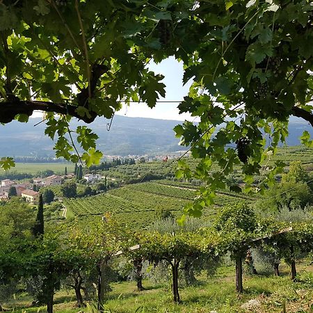 Agriturismo Valentina Cubi 푸르마네 외부 사진