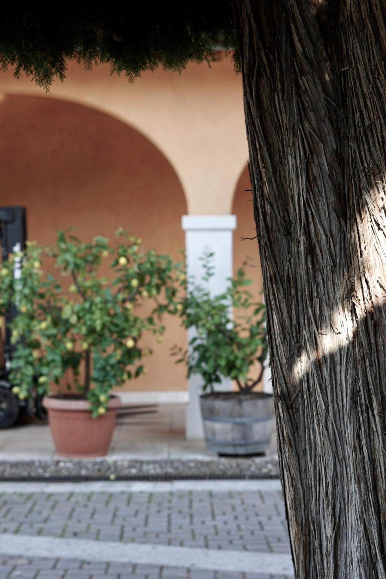 Agriturismo Valentina Cubi 푸르마네 외부 사진