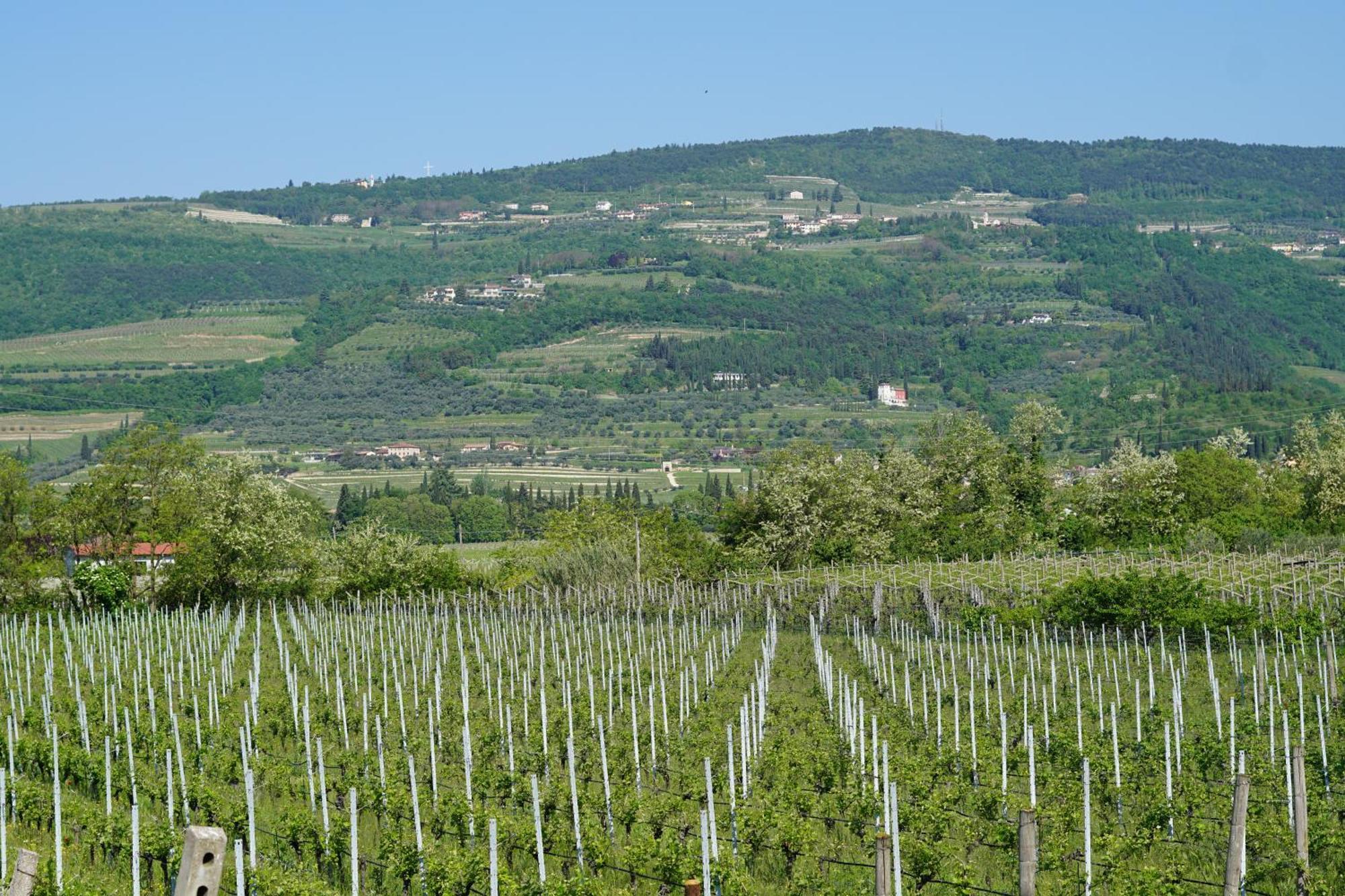 Agriturismo Valentina Cubi 푸르마네 외부 사진